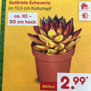 wm-fanartikel-fußball