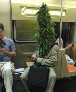 u-bahn