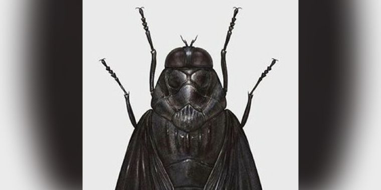 So sehen unsere “Star Wars“-Lieblinge als Insekten aus