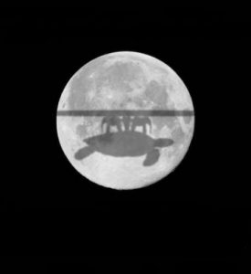flat-earthers