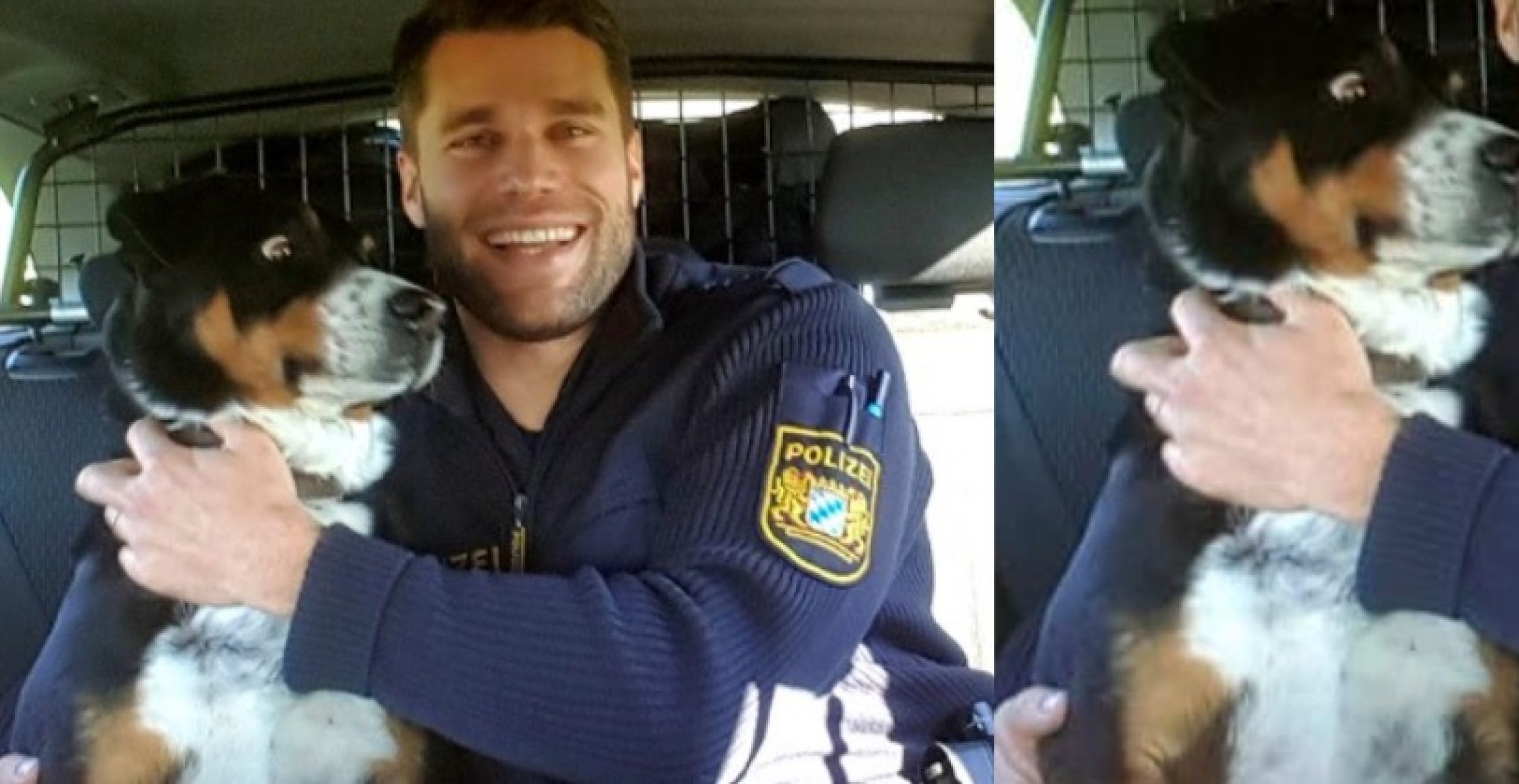Zehn herrliche Reaktionen von Doggos, die euch in Wochenend-Stimmung versetzen