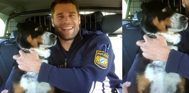Zehn herrliche Reaktionen von Doggos, die euch in Wochenend-Stimmung versetzen