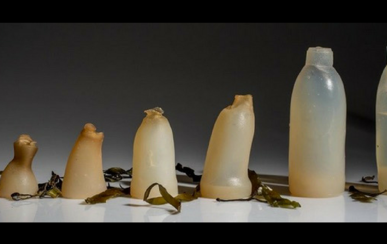 Diese geniale Flasche verrottet, sobald du sie leer getrunken hast