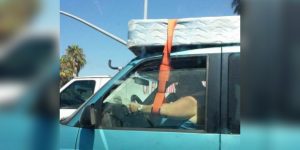 halsbrecherische Fahrer
