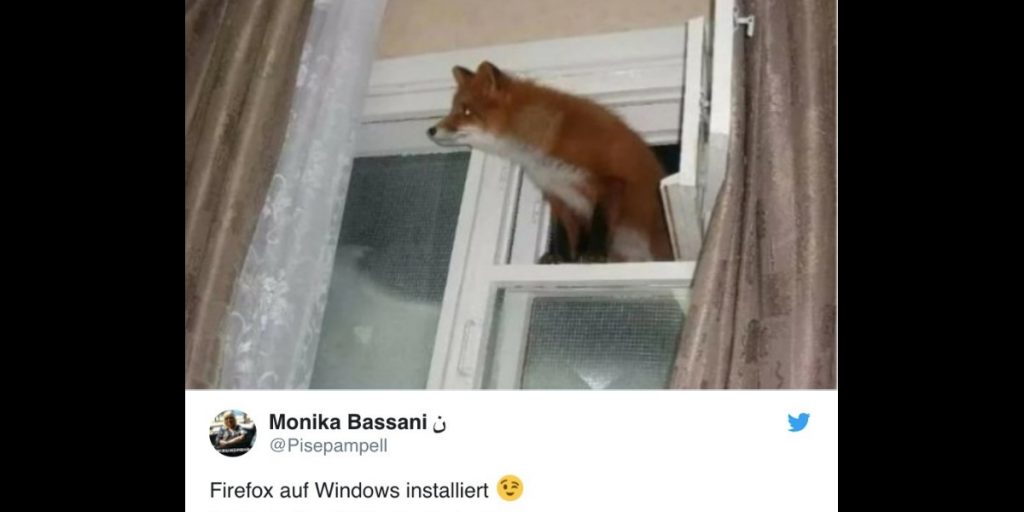 Diese 25 Tweets sind eine Ode an die gute Seite im Menschen