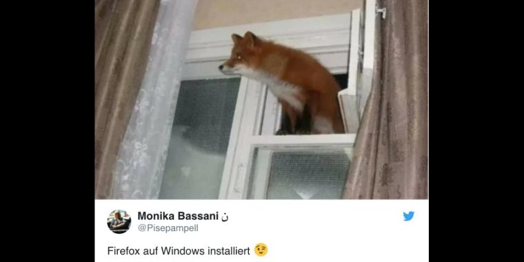 Diese 25 Tweets sind eine Ode an die gute Seite im Menschen