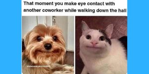 Introvertiertheit