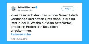 Wiesnwache
