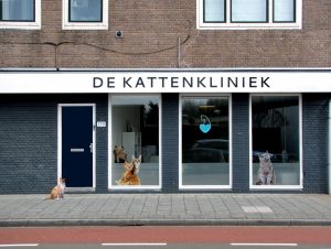 Katzensitter