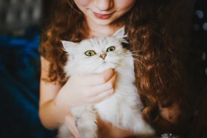 Katzensitter
