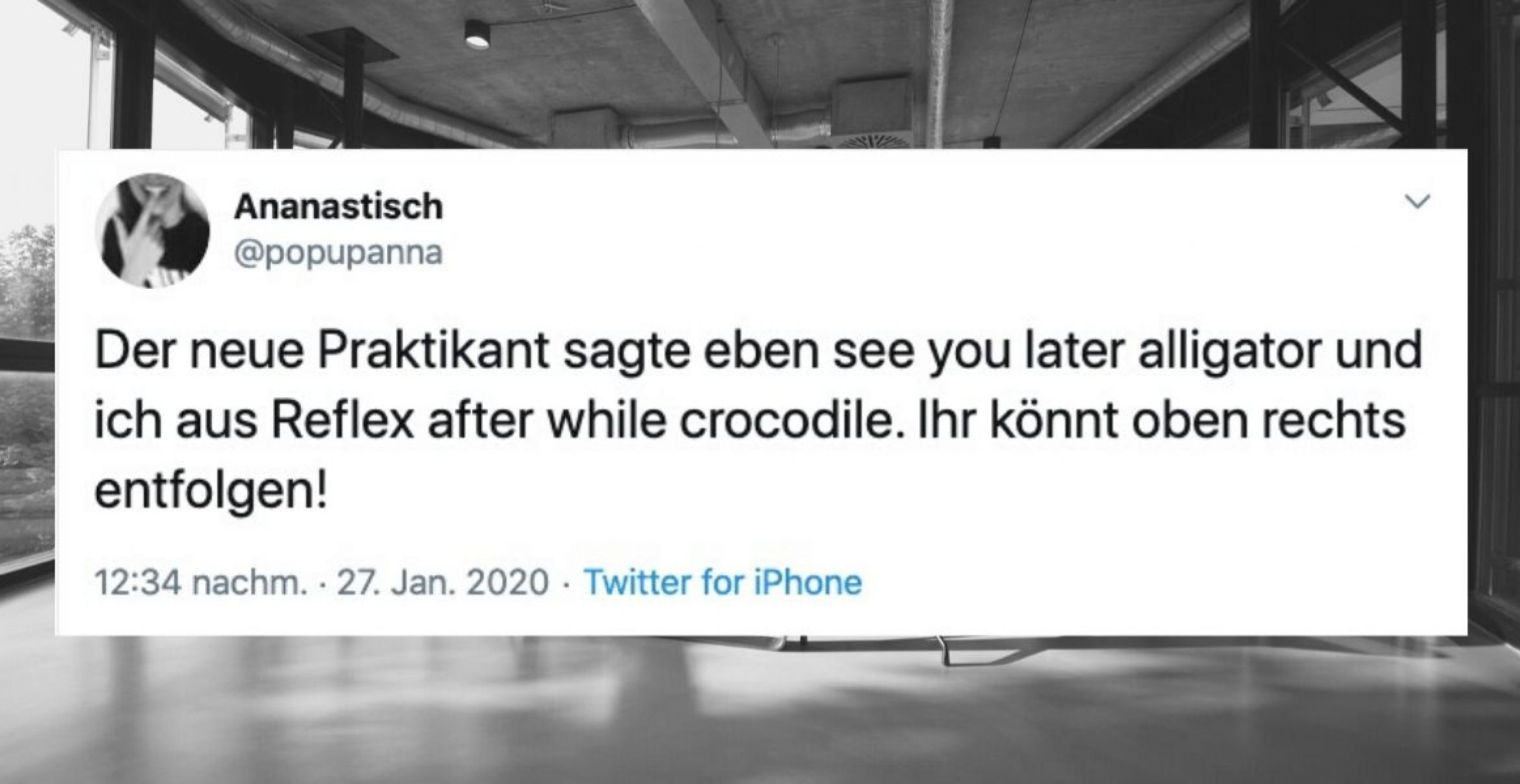 Zehn Praktikant*innen, die jeder schon mal bei sich im Büro hatte