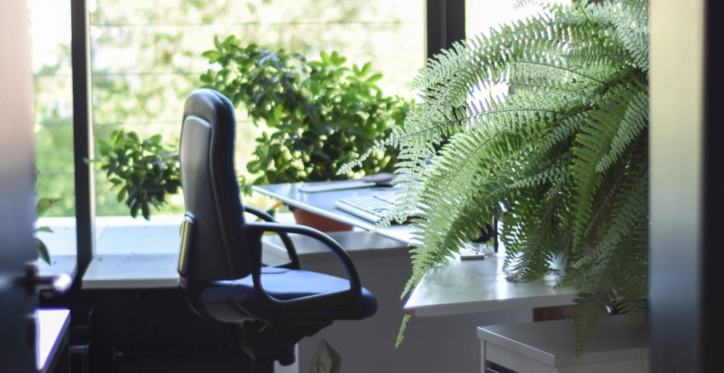 Fünf Wege, um im Office Nachhaltigkeit zu pushen