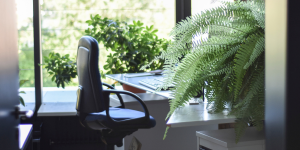 Nachhaltiges Office