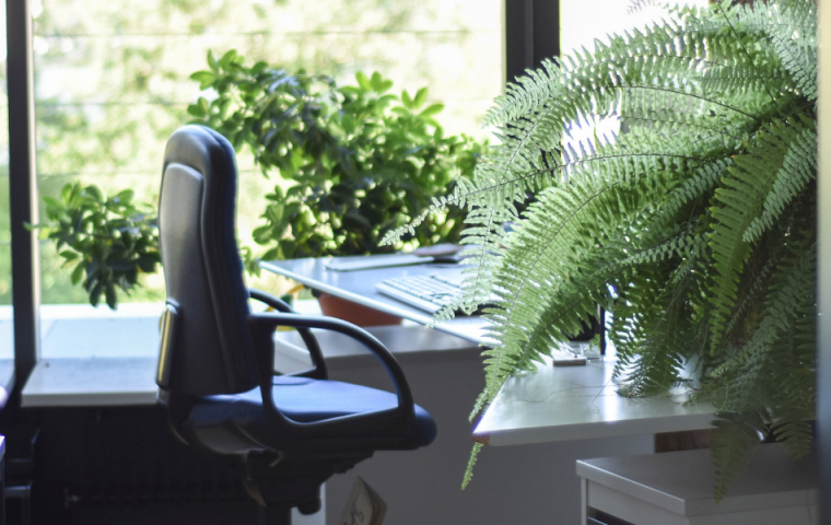 Fünf Wege, um im Office Nachhaltigkeit zu pushen