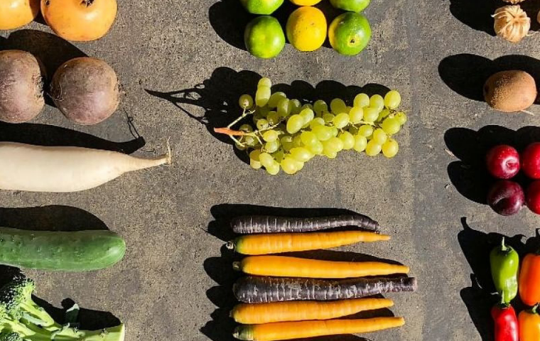 Grün, grüner, München: Fünf nachhaltige Startups in der bayerischen Hauptstadt