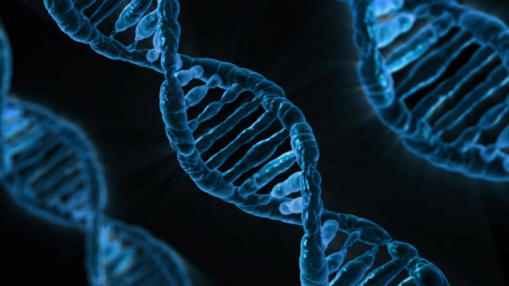 Crispr