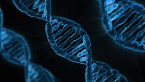Crispr