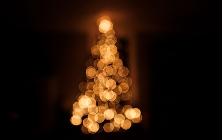 “Oh Tannenbaum“: Toom setzt zu Weihnachten auf Fair Trade