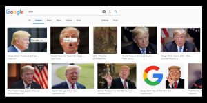 Trump Idiot
