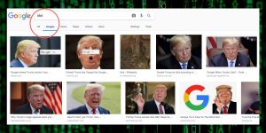Trump Idiot
