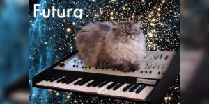 Cats as Fonts
