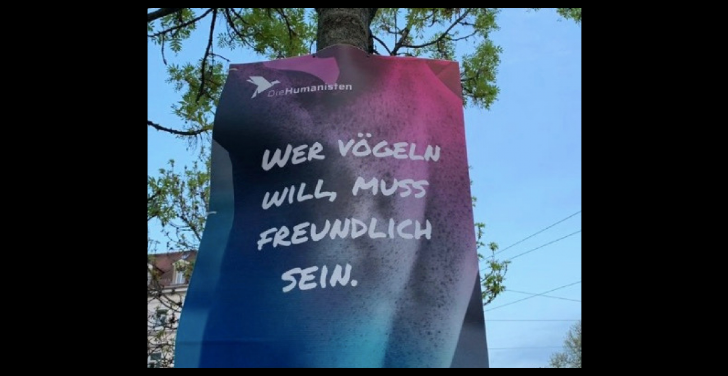 Das sind die 13 skurrilsten Wahlplakate zur Europawahl