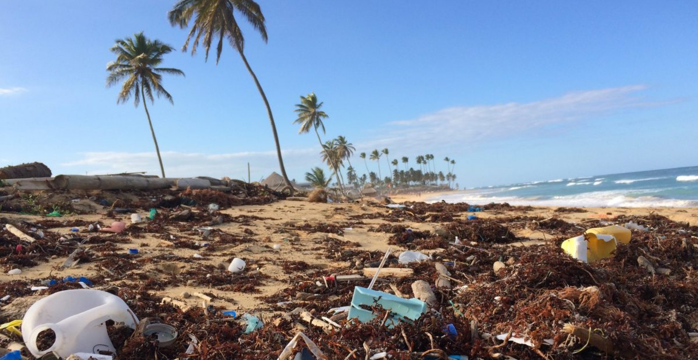Müll in den Meeren: Dieses Startup will Recycling optimieren