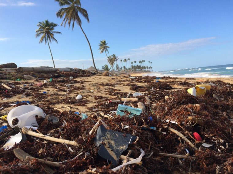 Müll in den Meeren: Dieses Startup will Recycling optimieren