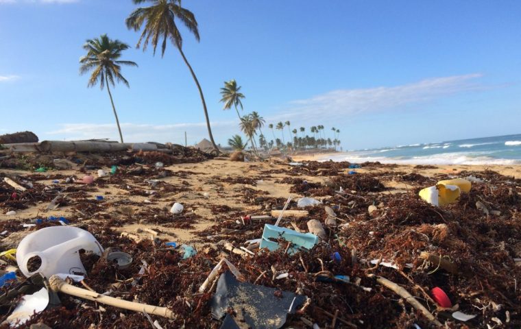 Müll in den Meeren: Dieses Startup will Recycling optimieren
