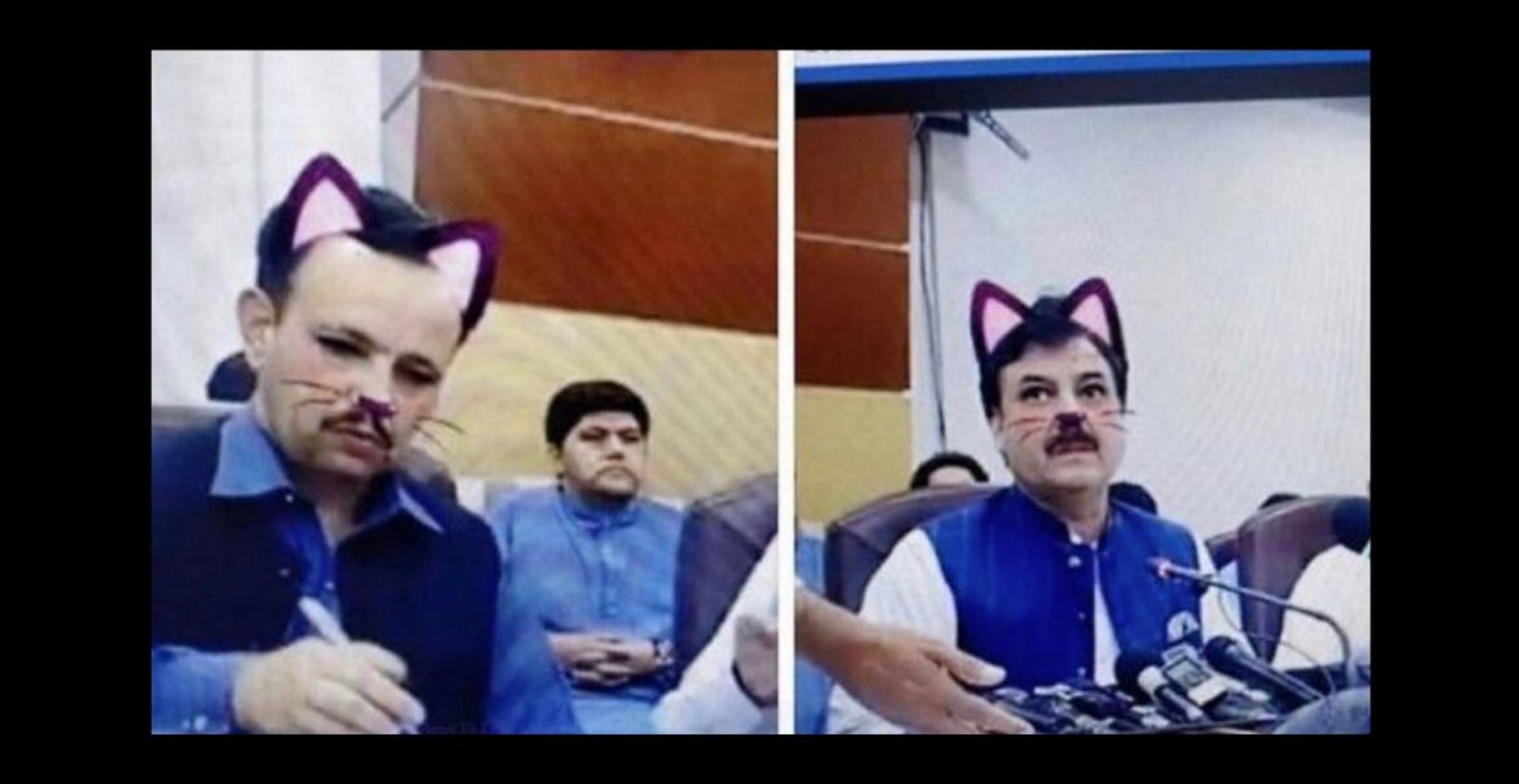 In Pakistan saßen Politiker mit Katzenfilter in einer Pressekonferenz