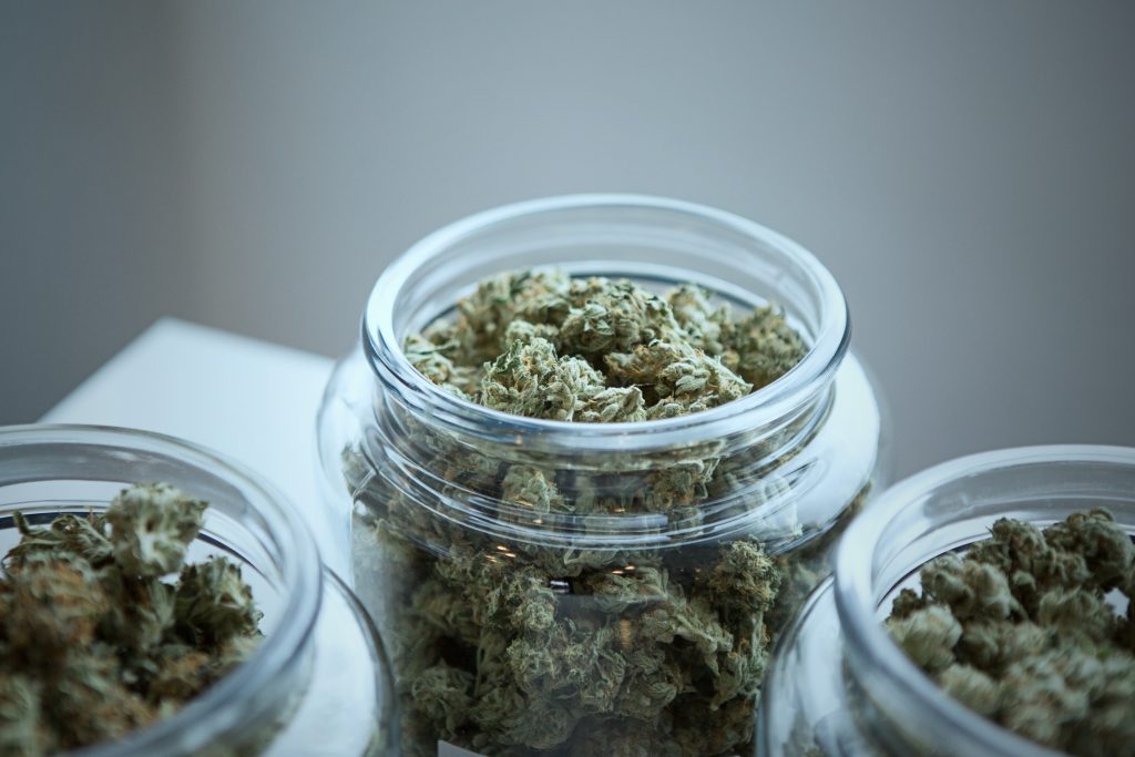 Vier Cannabis-Startups, die ganz und gar nicht dem Kiffer-Klischee entsprechen