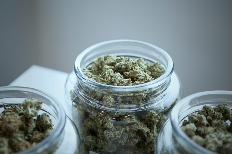 Vier Cannabis-Startups, die ganz und gar nicht dem Kiffer-Klischee entsprechen