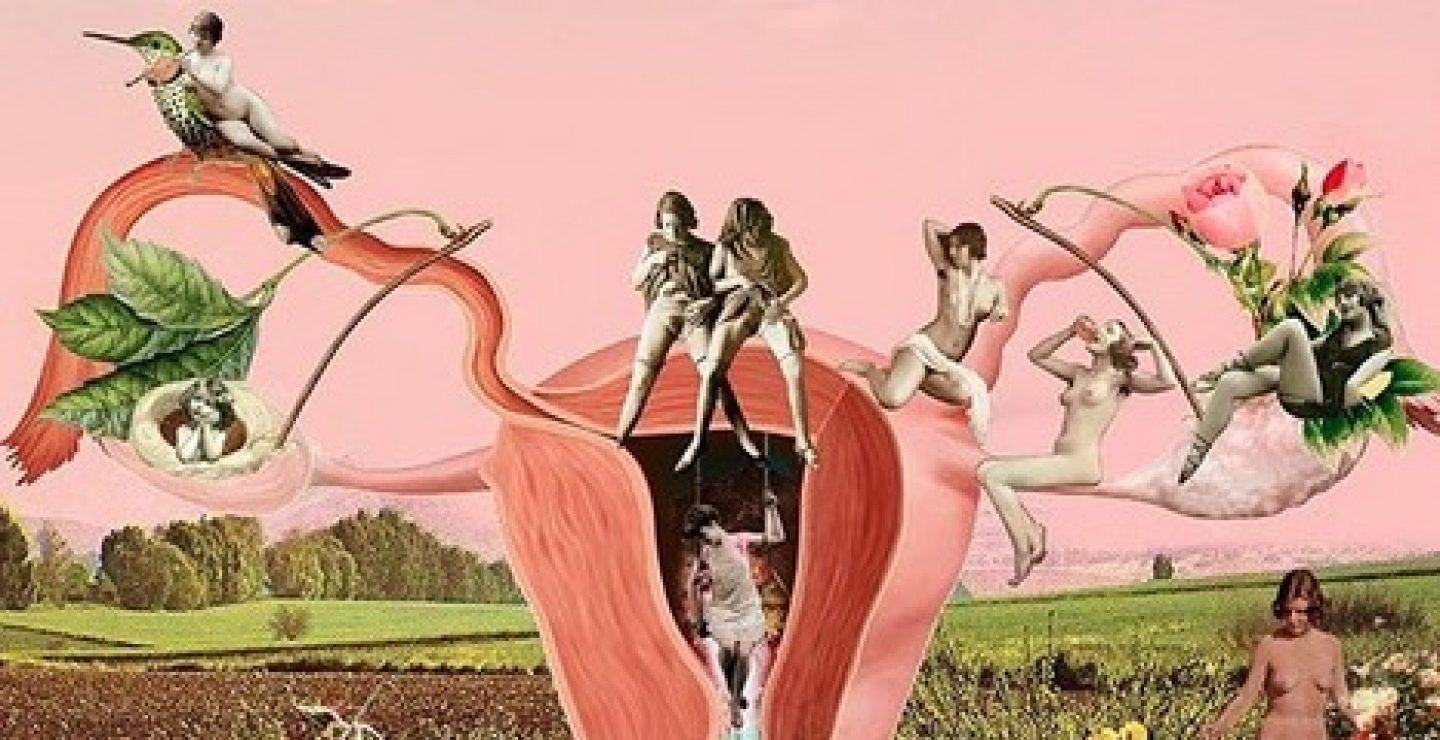 Pussypedia: Eine Website klärt über das weibliche Geschlechtsorgan auf