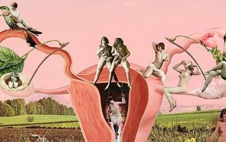 Pussypedia: Eine Website klärt über das weibliche Geschlechtsorgan auf