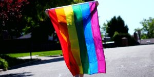 LGBTQ Studie