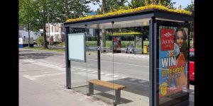 Utrecht Bienen