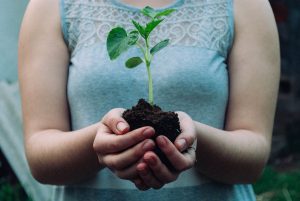 Earth Overshoot Day