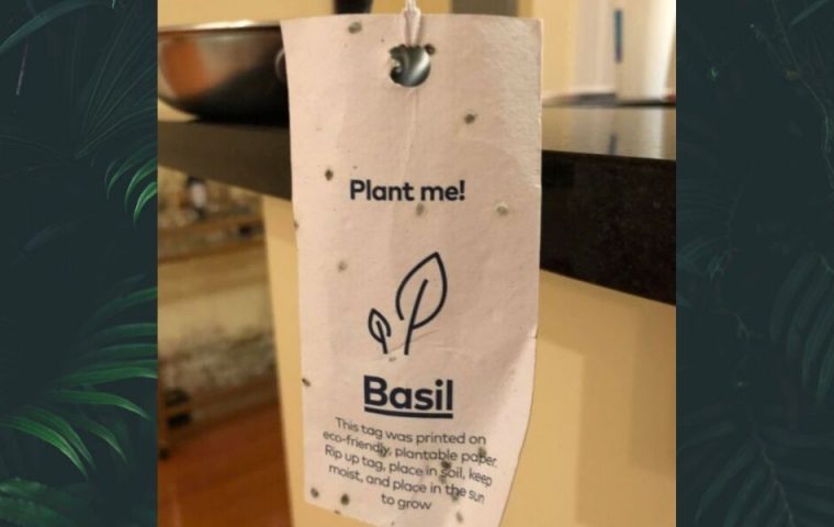 Zehn geniale Ideen, die unseren Alltag nachhaltiger machen