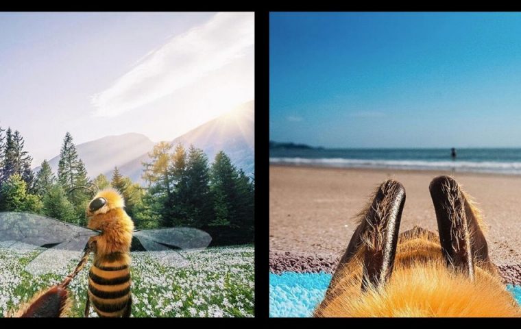 Diese Biene ist wohl die nachhaltigste Influencerin auf Instagram