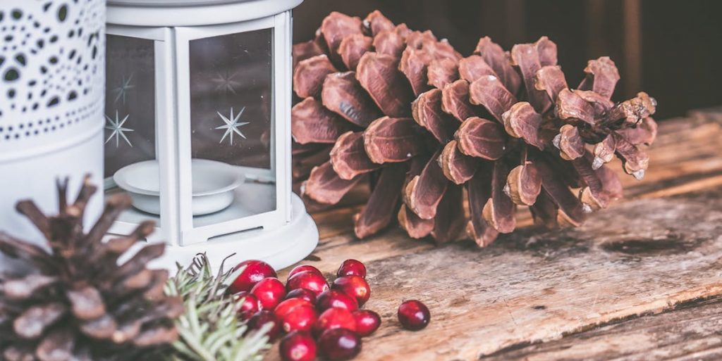 Fünf nachhaltige Inspirationen für eure Weihnachtsdeko