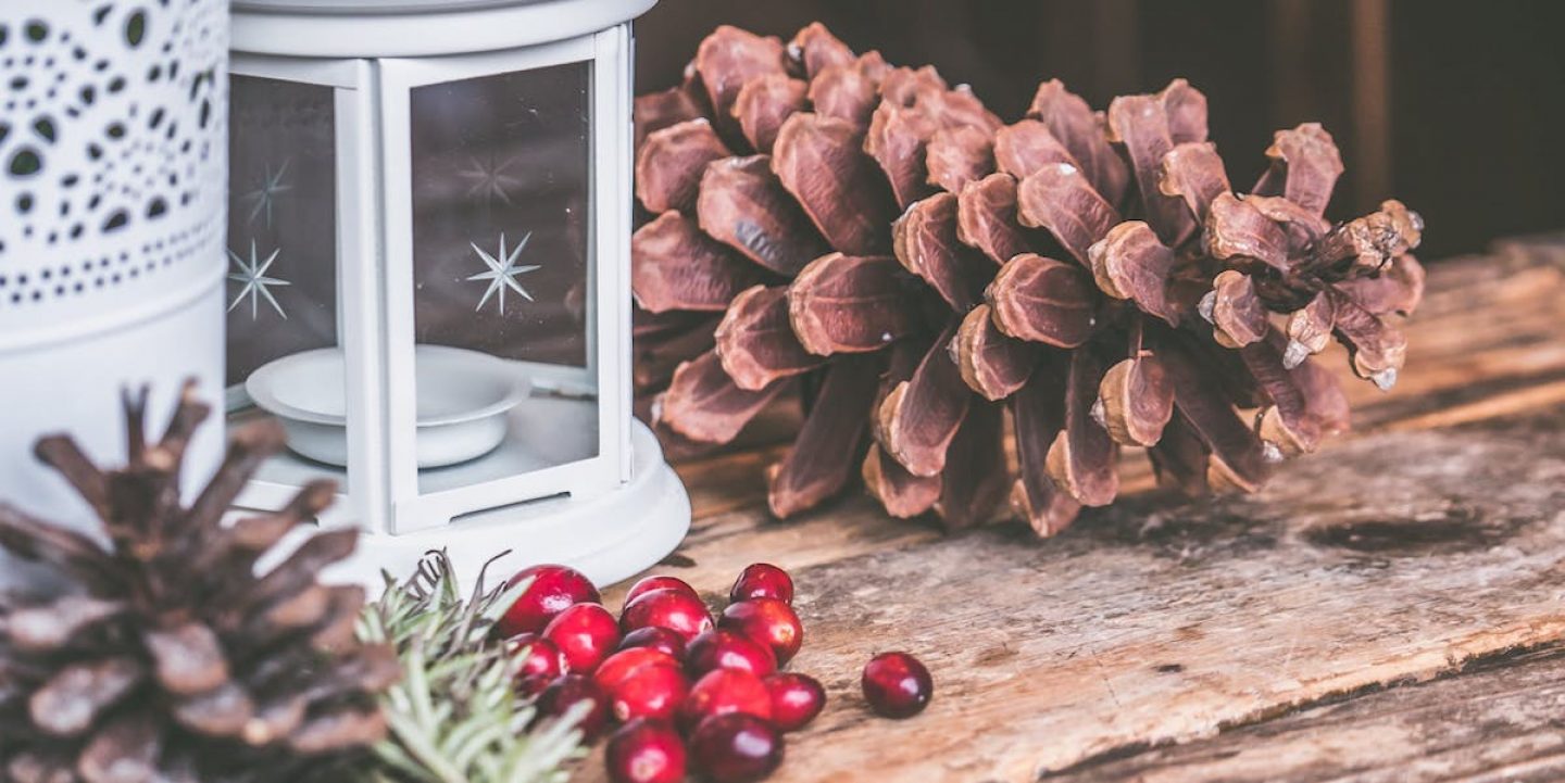 Fünf nachhaltige Inspirationen für eure Weihnachtsdeko