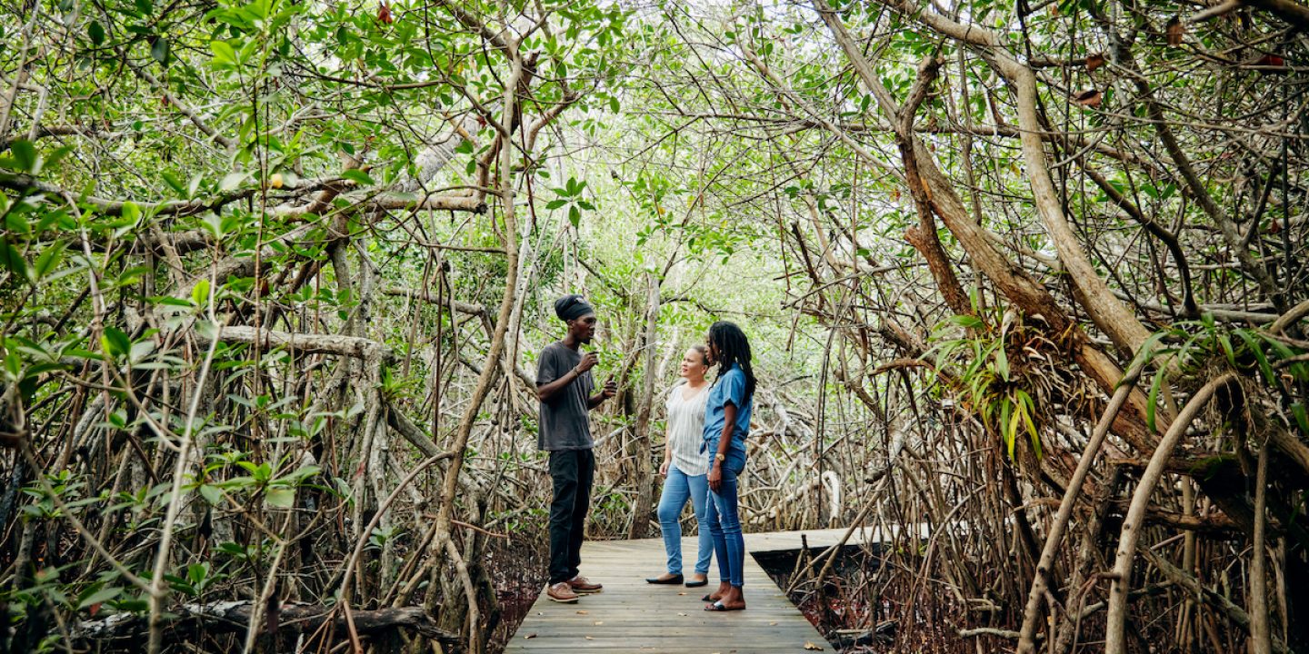 Best Sabbatical ever: Airbnb schickt euch auf die Bahamas, um die Natur zu retten