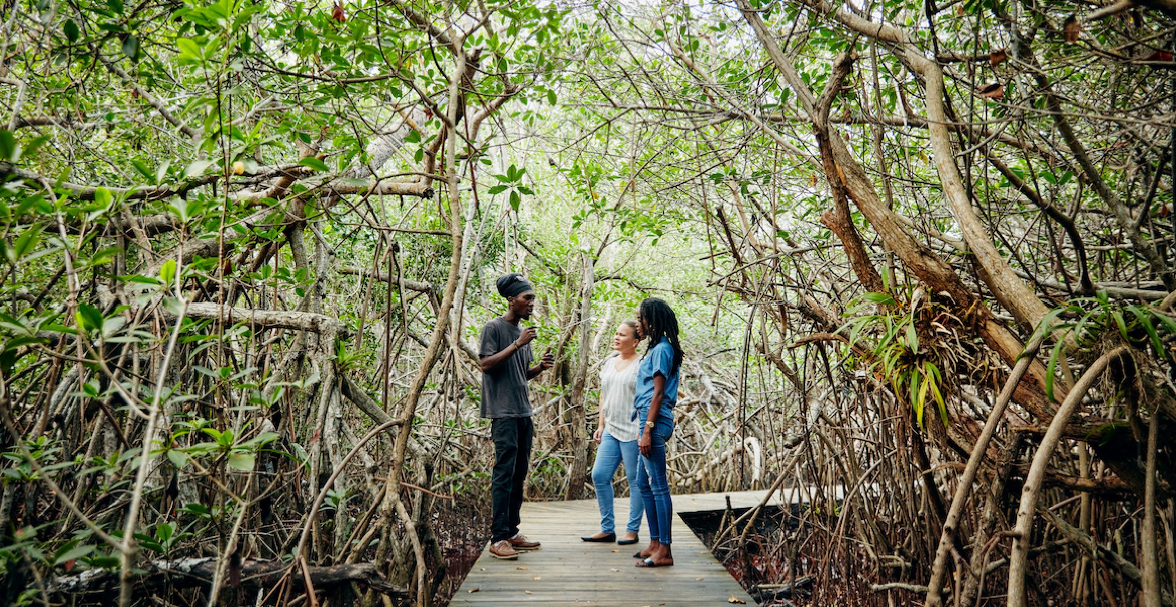 Best Sabbatical ever: Airbnb schickt euch auf die Bahamas, um die Natur zu retten