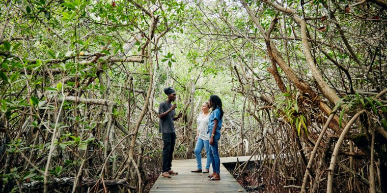 Best Sabbatical ever: Airbnb schickt euch auf die Bahamas, um die Natur zu retten