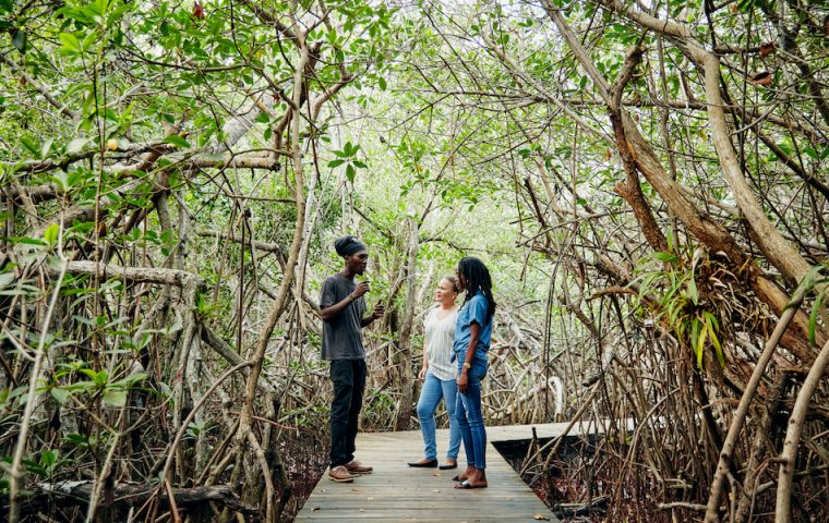 Best Sabbatical ever: Airbnb schickt euch auf die Bahamas, um die Natur zu retten