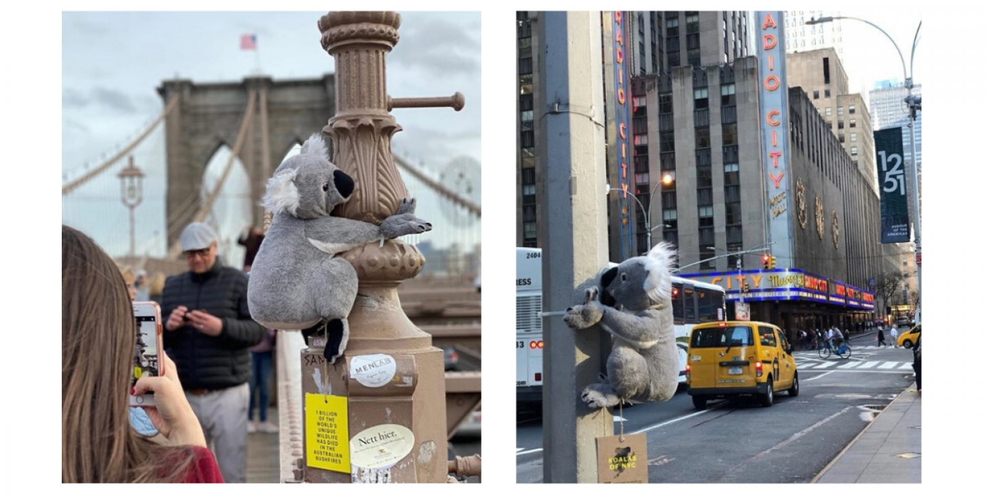 Guerilla-Marketing: In New York rufen Plüschkoalas zur Spende für Australien auf