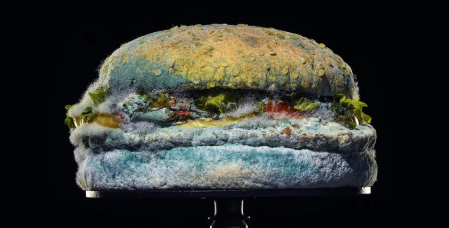 Burger King zeigt mit Ekel-Kampagne, wie ein Burger zu schimmeln hat