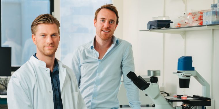 Ein Startup in Holland hat Kunstfleisch erfunden, das aus echtem Fleisch besteht