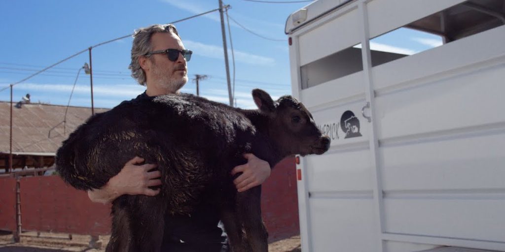 Joaquin Phoenix hat nach seiner Oscar-Rede eine Kuh und ihr Kalb gerettet