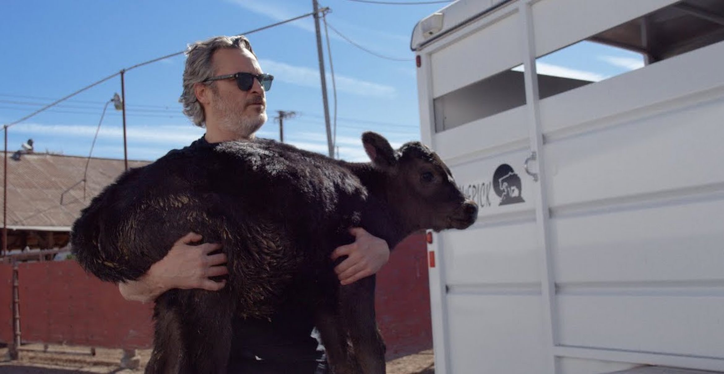 Joaquin Phoenix hat nach seiner Oscar-Rede eine Kuh und ihr Kalb gerettet